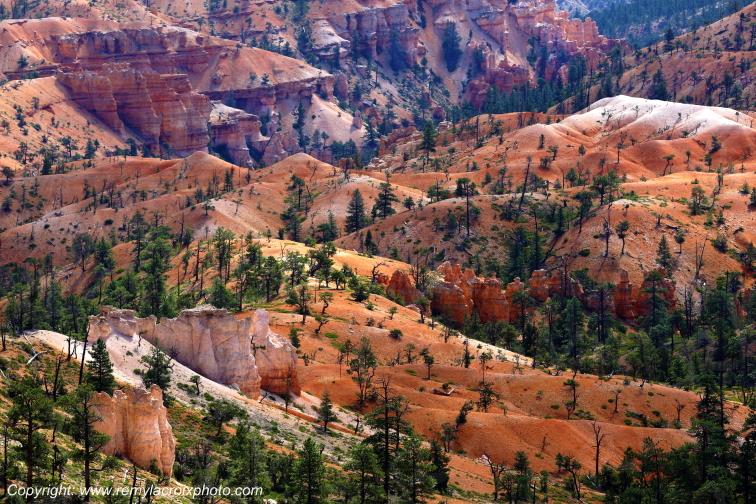 Sunrise Point Bryce Canyon National Park Utah USA