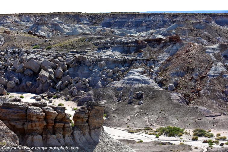 Blue Mesa Petrified Forest National Park Arizona USA