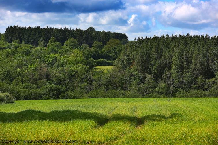 Sidiailles Marche Cher Berry Centre Val de Loire France www.remylacroixphoto.com