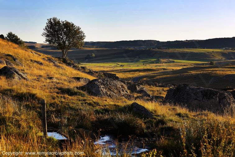 Rieutort d'Aubrac Loz�re Languedoc-Roussillon Occitanie France www.remylacroixphoto.com