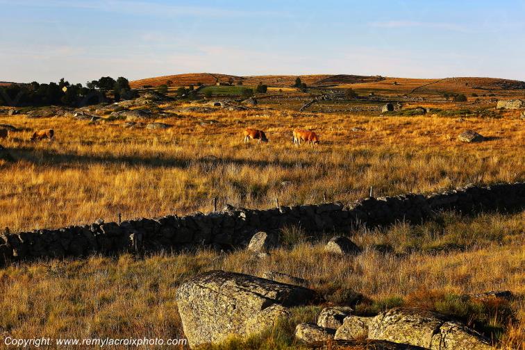 Rieutort d'Aubrac Loz�re Languedoc-Roussillon Occitanie France www.remylacroixphoto.com
