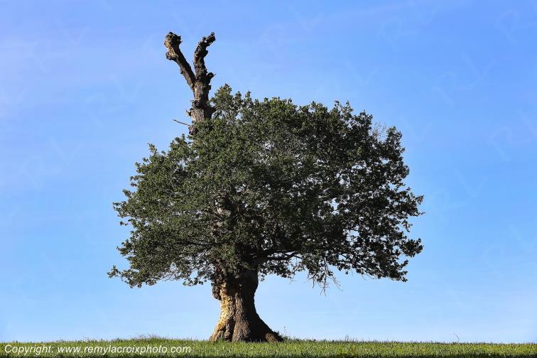 Sidiailles Marche Cher Berry Centre Val de Loire France www.remylacroixphoto.com