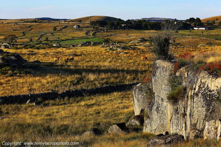 Rieutort d'Aubrac Loz�re Languedoc-Roussillon Occitanie France www.remylacroixphoto.com