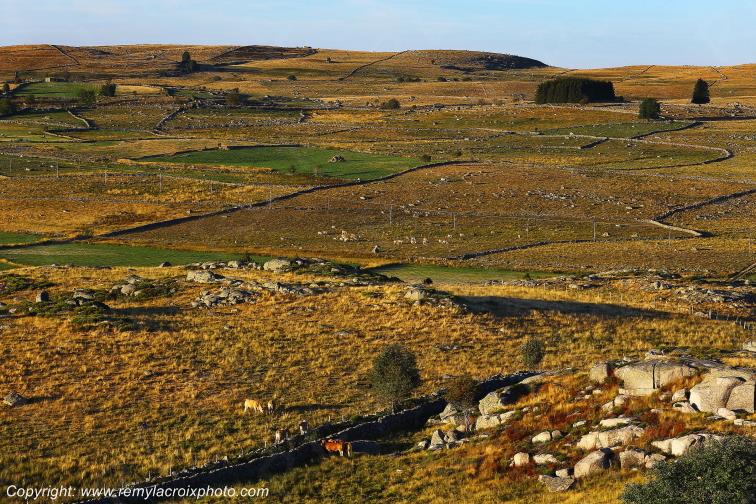 Rieutort d'Aubrac Loz�re Languedoc-Roussillon Occitanie France www.remylacroixphoto.com