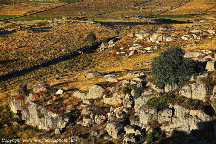 Rieutort d'Aubrac Loz�re Languedoc-Roussillon Occitanie France www.remylacroixphoto.com