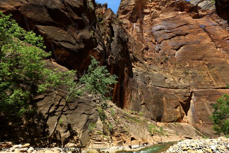 Riverside Walk Zion National Park Utah USA