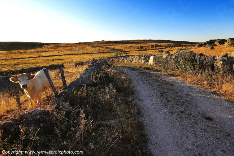 Rieutort d'Aubrac Loz�re Languedoc-Roussillon Occitanie France www.remylacroixphoto.com