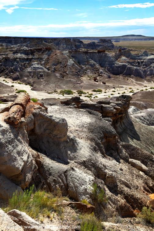 Blue Mesa Petrified Forest National Park Arizona USA