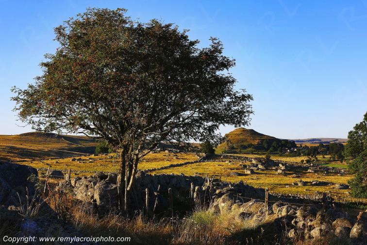 Rieutort d'Aubrac Loz�re Languedoc-Roussillon Occitanie France www.remylacroixphoto.com