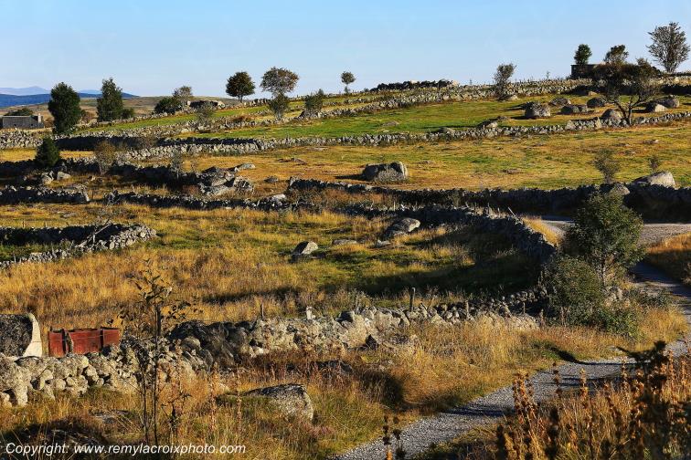 Rieutort d'Aubrac Loz�re Languedoc-Roussillon Occitanie France www.remylacroixphoto.com