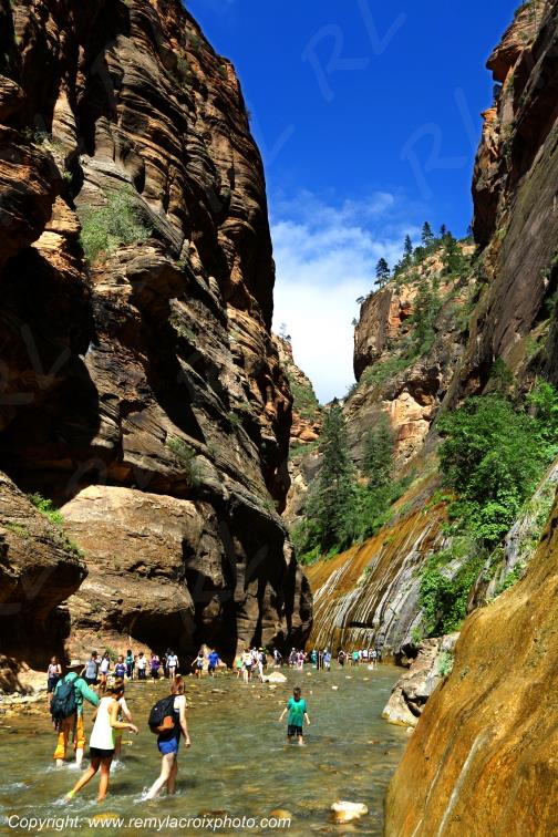 Riverside Walk Zion National Park Utah USA