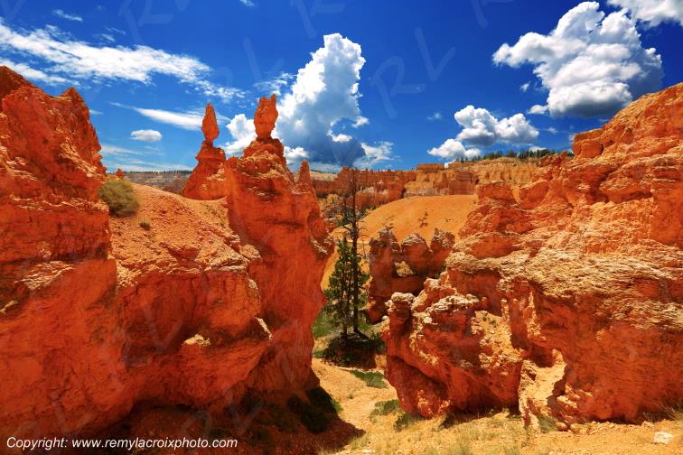 Queen Garden Trail Bryce Canyon National Park Utah USA