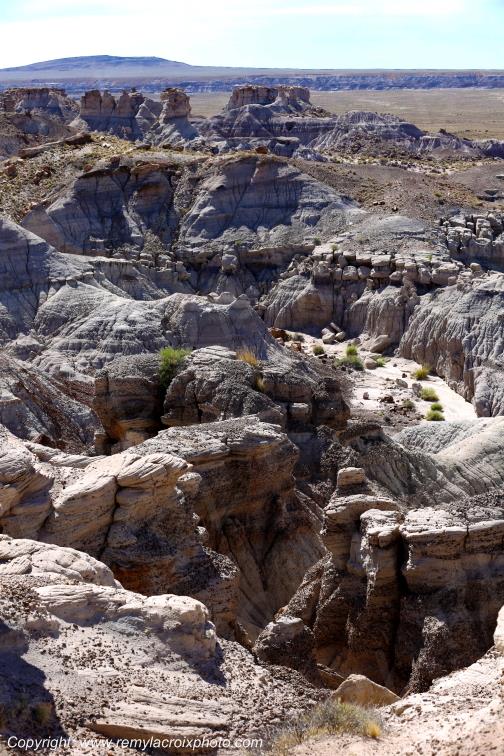 Blue Mesa Petrified Forest National Park Arizona USA
