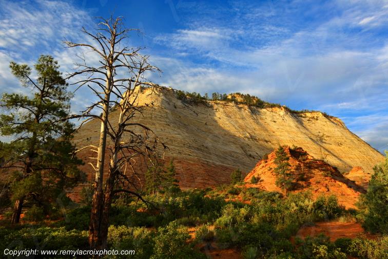 Mount Carmel Highway Zion National Park Utah USA