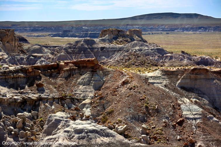 Blue Mesa Petrified Forest National Park Arizona USA