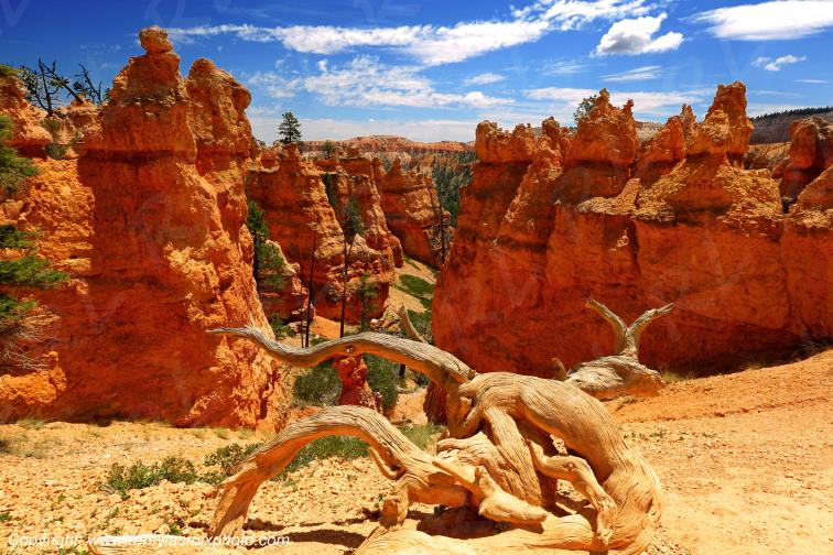 Queen Garden Trail Bryce Canyon National Park Utah USA