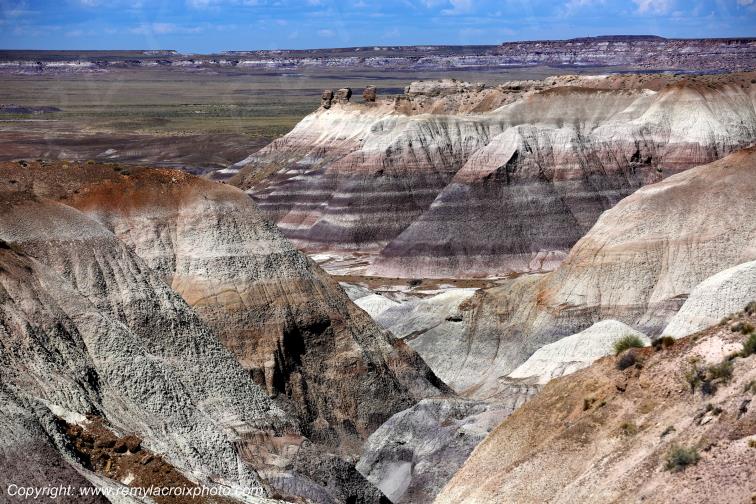 Blue Mesa Petrified Forest National Park Arizona USA