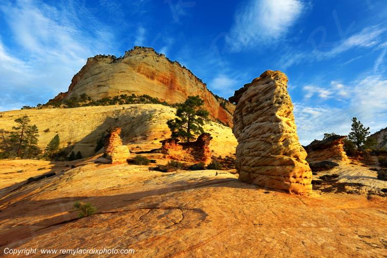 Mount Carmel Highway Zion National Park Utah USA
