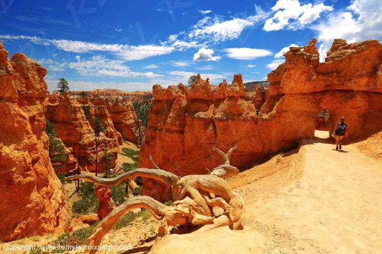 Queen Garden Trail Bryce Canyon National Park Utah USA