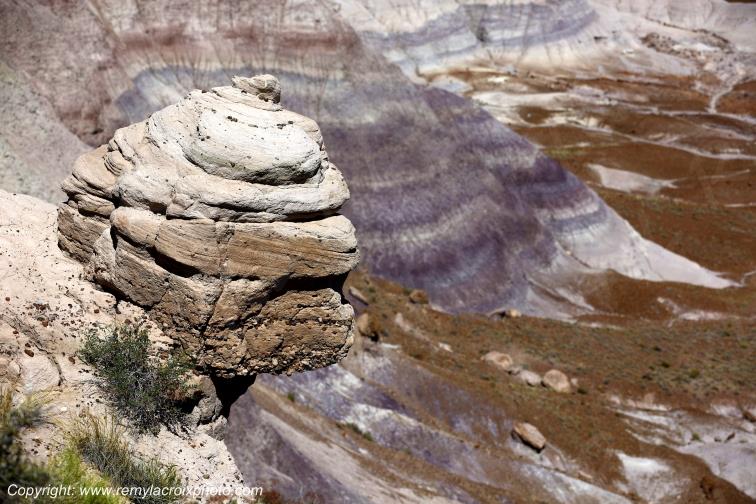 Blue Mesa Petrified Forest National Park Arizona USA
