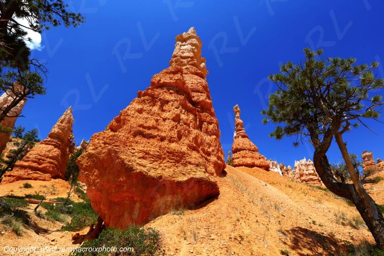 Queen Garden Trail Bryce Canyon National Park Utah USA