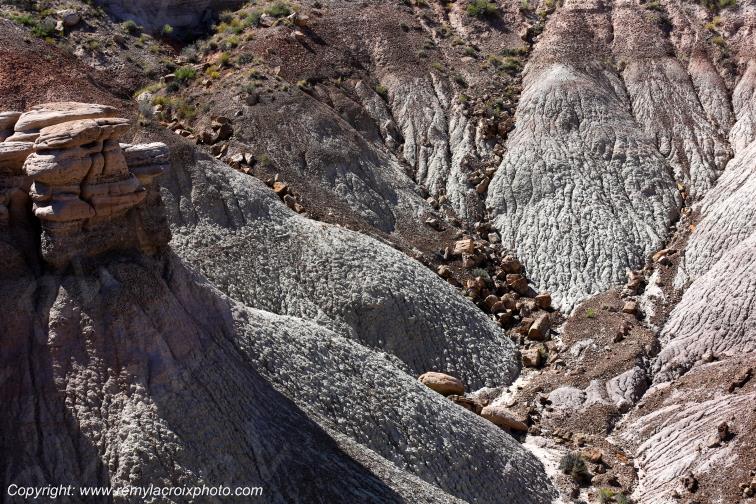 Blue Mesa Petrified Forest National Park Arizona USA