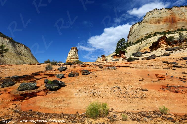 Mount Carmel Highway Zion National Park Utah USA