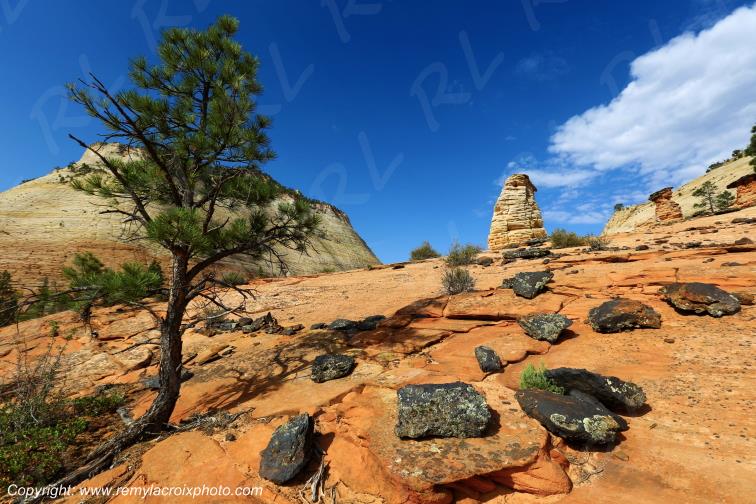 Mount Carmel Highway Zion National Park Utah USA