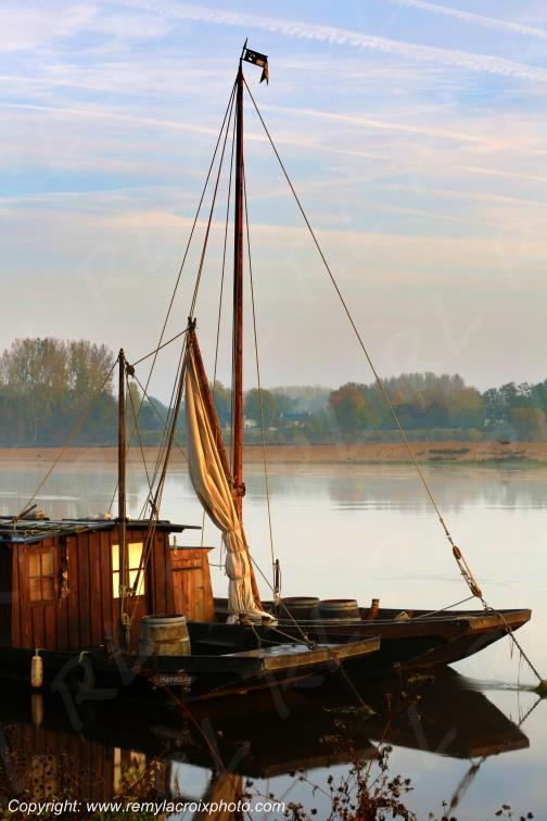 Candes Saint Martin la Vienne Indre et Loire Centre Val de Loire France