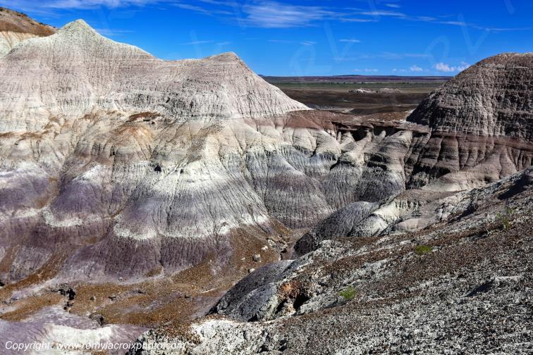 Blue Mesa Petrified Forest National Park Arizona USA