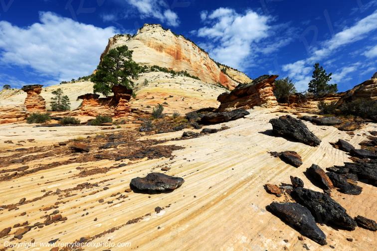 Mount Carmel Highway Zion National Park Utah USA