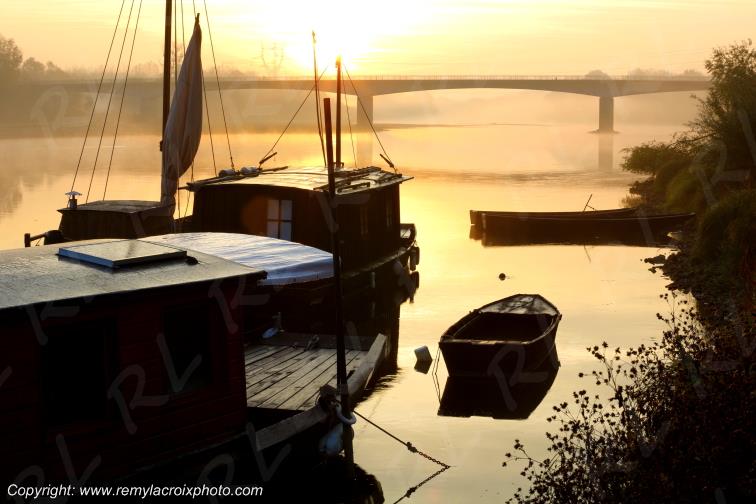 Candes Saint Martin la Vienne Indre et Loire Centre Val de Loire France