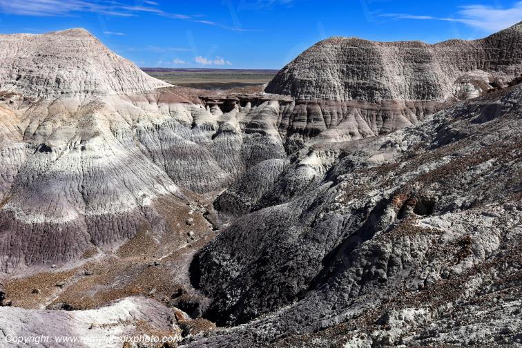 Blue Mesa Petrified Forest National Park Arizona USA