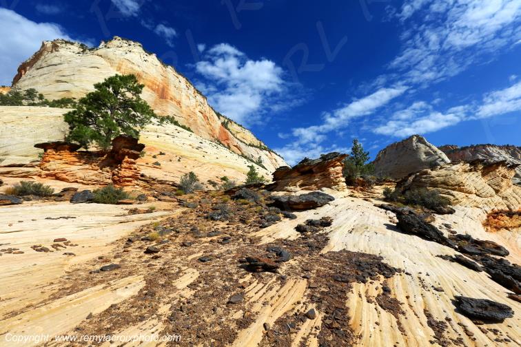 Mount Carmel Highway Zion National Park Utah USA