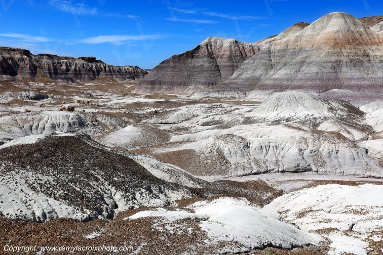 Blue Mesa Petrified Forest National Park Arizona USA