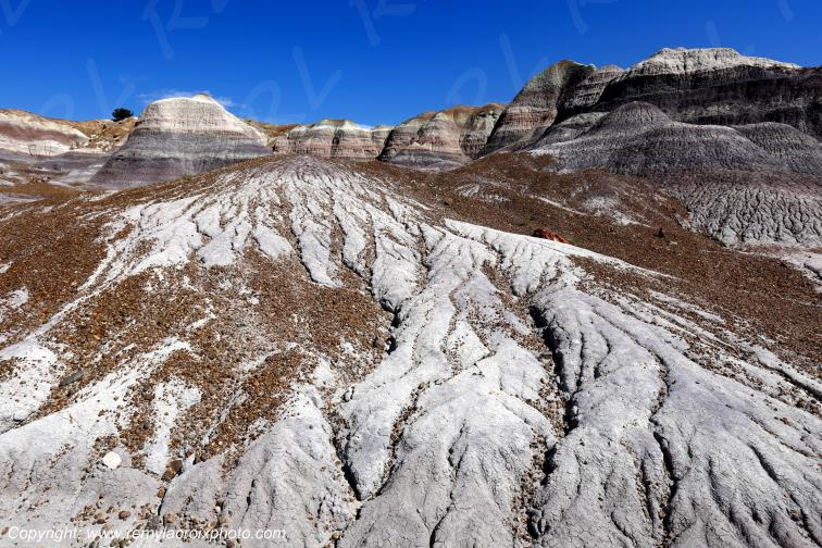 Blue Mesa Petrified Forest National Park Arizona USA