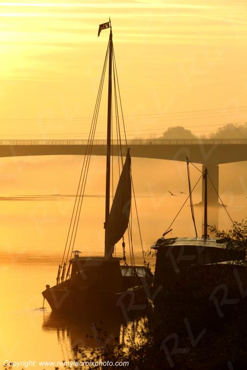Candes Saint Martin la Vienne Indre et Loire Centre Val de Loire France