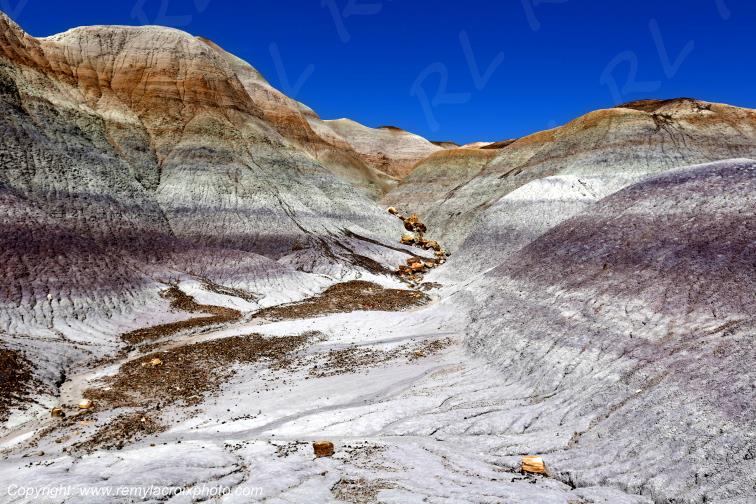 Blue Mesa Petrified Forest National Park Arizona USA