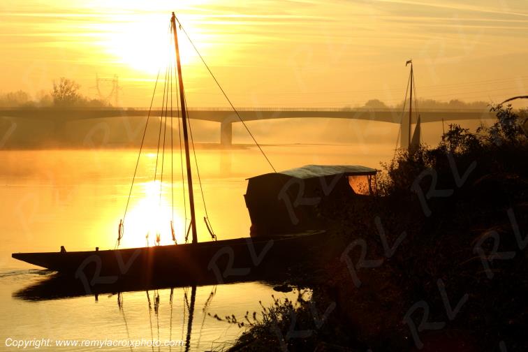 Candes Saint Martin la Vienne Indre et Loire Centre Val de Loire France