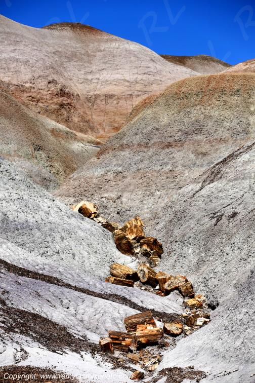 Blue Mesa Petrified Forest National Park Arizona USA