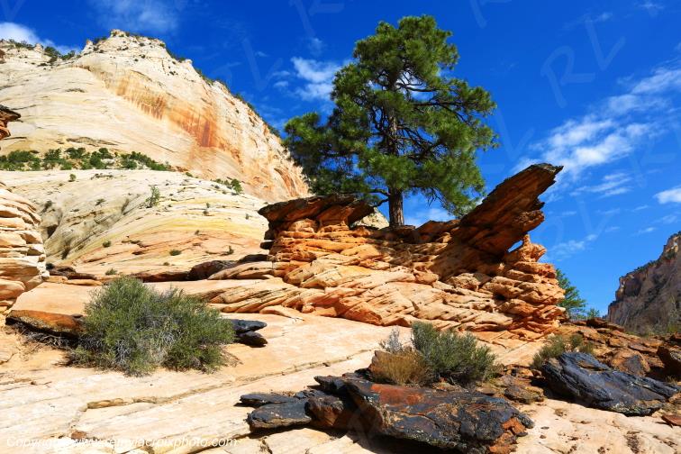 Mount Carmel Highway Zion National Park Utah USA