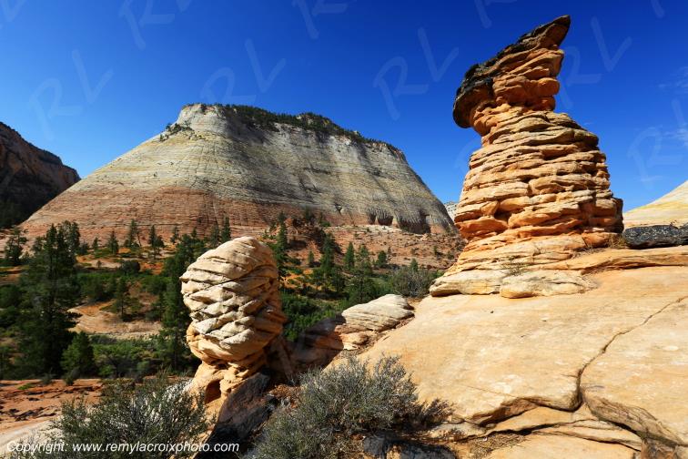 Mount Carmel Highway Zion National Park Utah USA