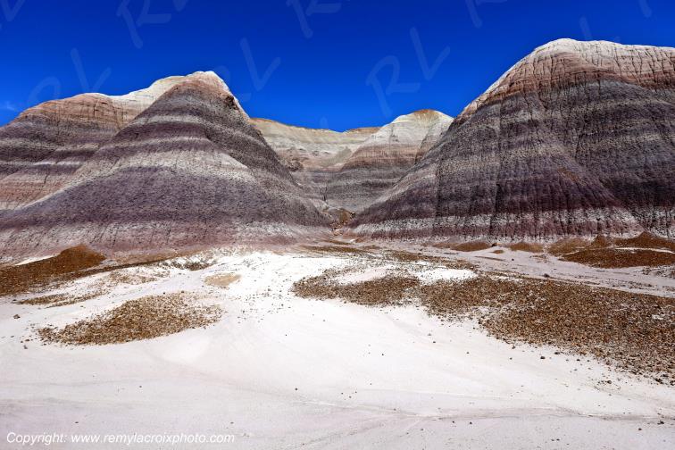 Blue Mesa Petrified Forest National Park Arizona USA
