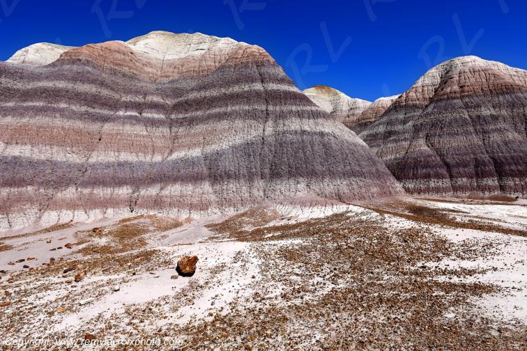 Blue Mesa Petrified Forest National Park Arizona USA