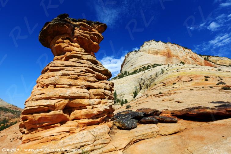 Mount Carmel Highway Zion National Park Utah USA
