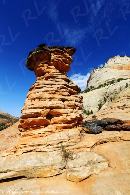 Mount Carmel Highway Zion National Park Utah USA