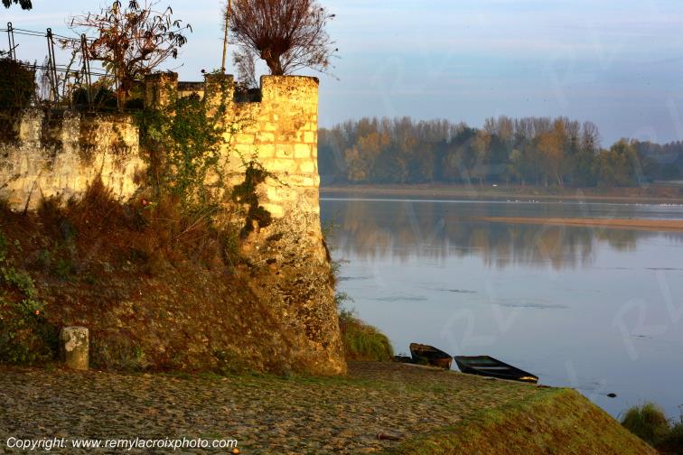 Candes Saint Martin la Vienne Indre et Loire Centre Val de Loire France