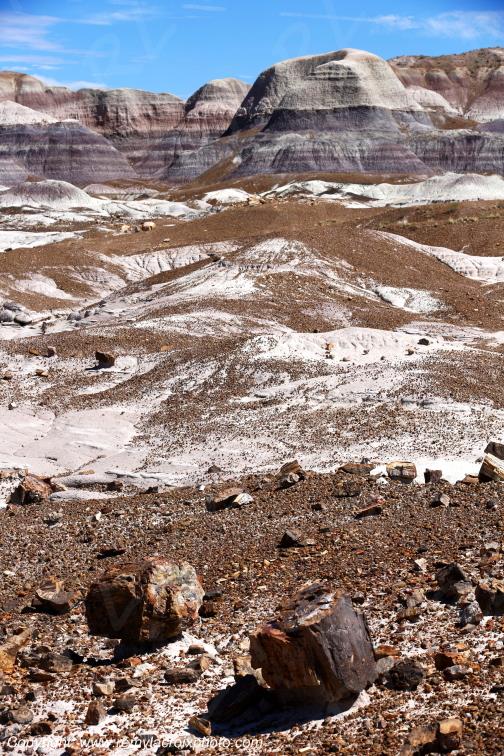 Blue Mesa Petrified Forest National Park Arizona USA