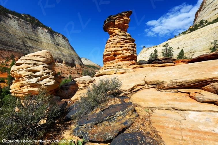 Mount Carmel Highway Zion National Park Utah USA