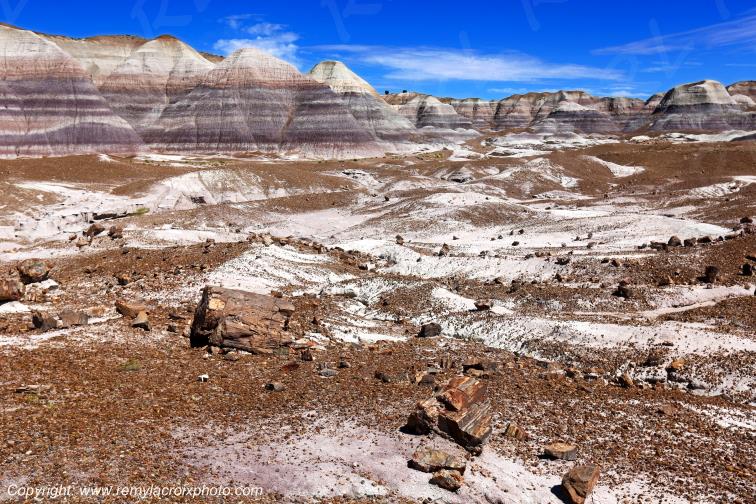 Blue Mesa Petrified Forest National Park Arizona USA
